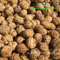 Fine Chinese Walnut Cherlils Lights z fabryki